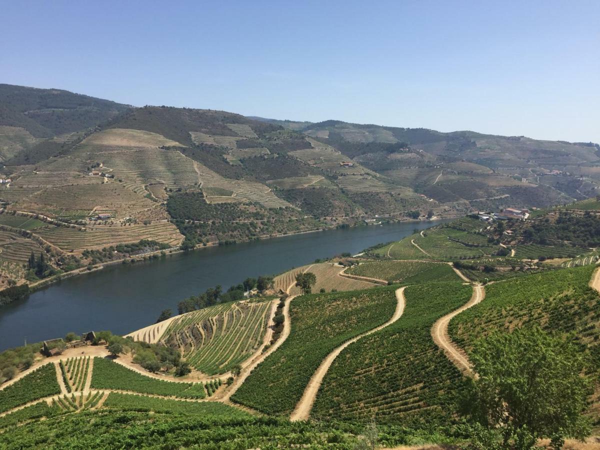 Refugio D'Anita Douro Valley House Barcos 外观 照片