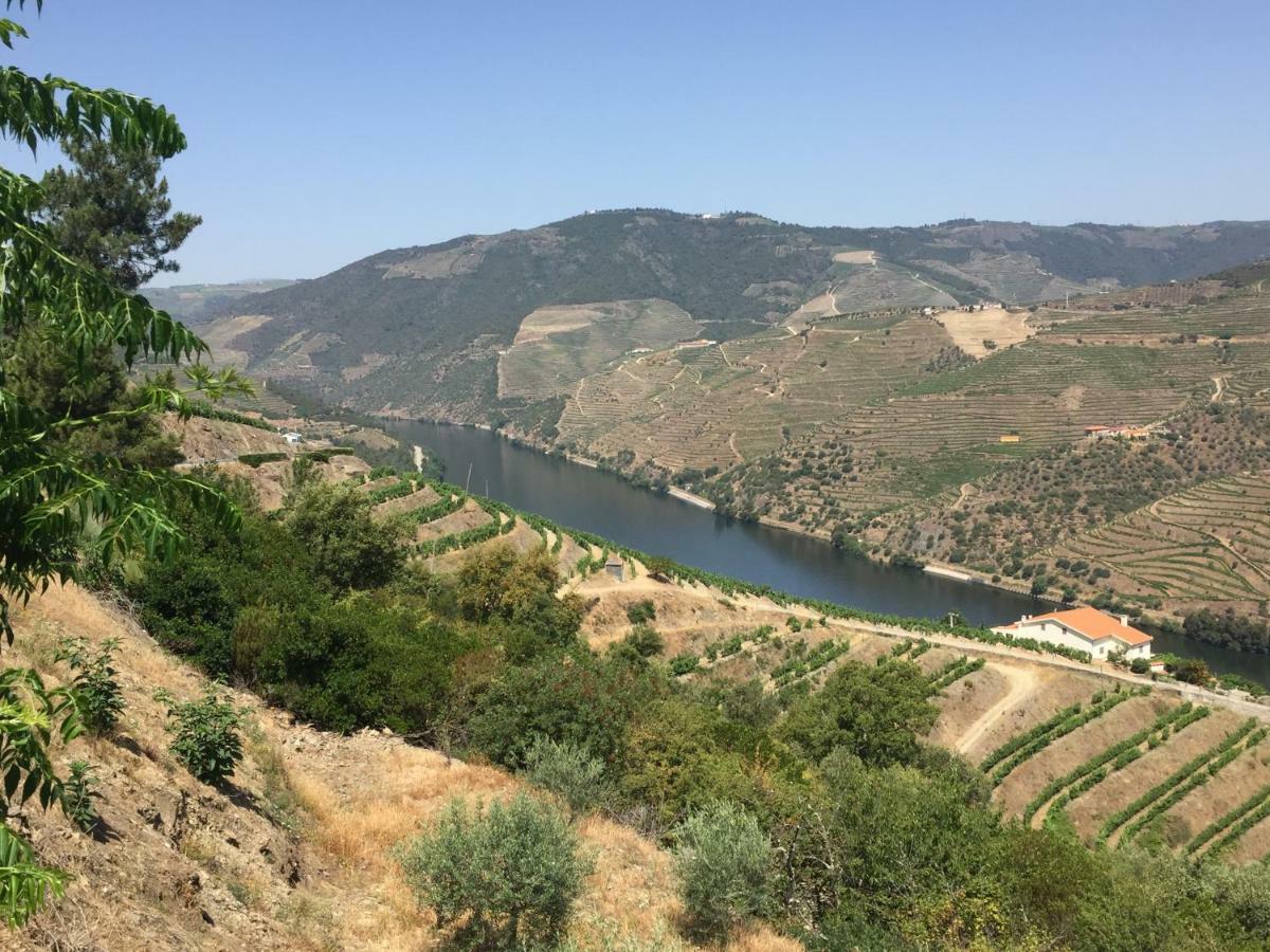 Refugio D'Anita Douro Valley House Barcos 外观 照片